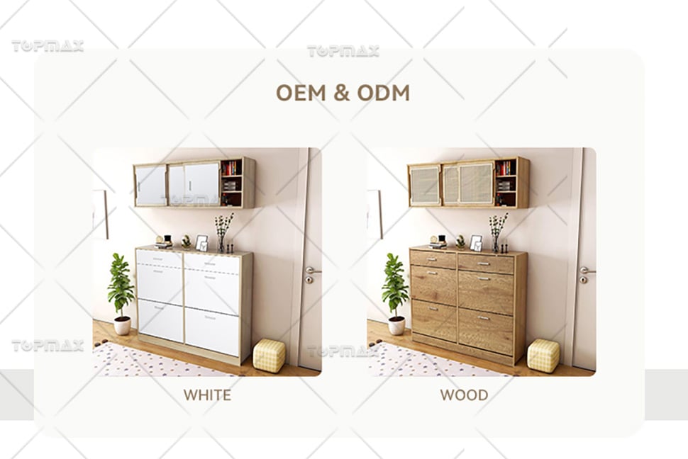 Shoe Storage Cabinet China